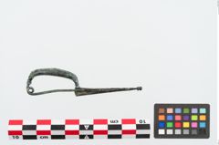 Foto von Bronzekahnfibel (NHMW-PRAE-024960)